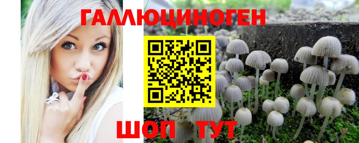 Галлюциногенные грибы MAGIC MUSHROOMS  купить наркоту  Протвино  Вход с VPN  Псилоцибиновые грибы прущие грибы 
